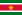 Description: http://upload.wikimedia.org/wikipedia/commons/thumb/6/60/Flag_of_Suriname.svg/22px-Flag_of_Suriname.svg.png