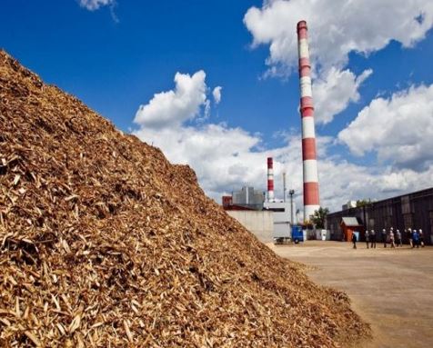 Heat and electricity generation with biofuels and biomass produced