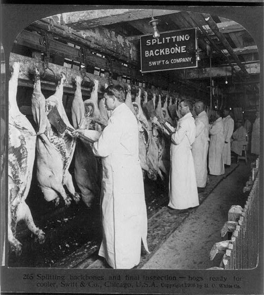 Description: File:Chicago meat inspection swift co 1906.jpg