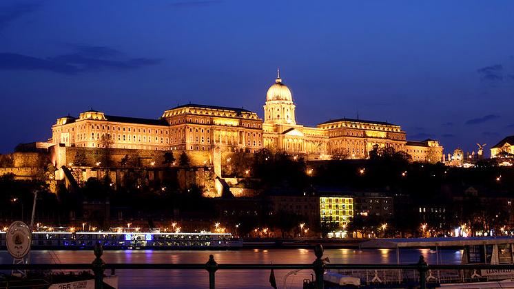 Description: File:Budapest castle night 5.jpg